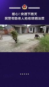 暖心！突遇下雨天民警帮助老人抢收晾晒油菜