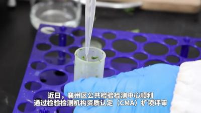 硬核升级！定量检测守护“舌尖上的安全
