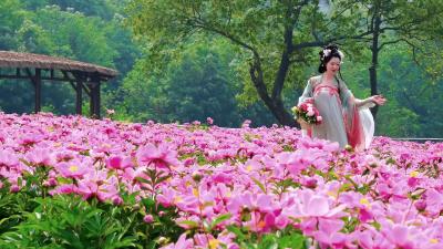 【鹿门山景区】草树知春不久归+百般红紫斗芳菲