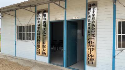 金银花里生“金银” 致富路上有“花招”
