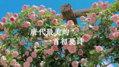 【山亭夏日】绿树阴浓夏日长 楼台倒影入池塘