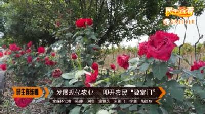 发展现代农业  叩开农民“致富门”