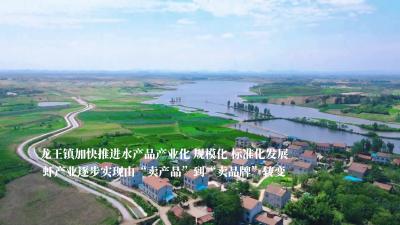 养虾有“稻”+擦亮品牌