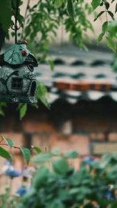 微雨过 小荷翻 榴花开欲燃