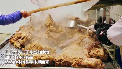 村里来了个“牛项目”