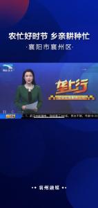 【襄阳市襄州区】农忙好时节+乡亲耕种忙 