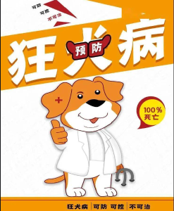 夏季來臨 接種狂犬疫苗市民有所增加！疾控專家提醒→