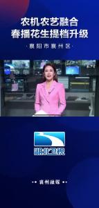 襄阳市襄州区：农机农艺融合+春播花生提档升级