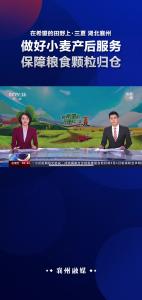 在希望的田野上·三夏+湖北襄州+做好小麦产后服务+保障粮食颗粒归仓