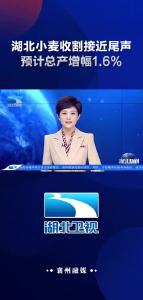 湖北小麦收割接近尾声 预计总产增幅