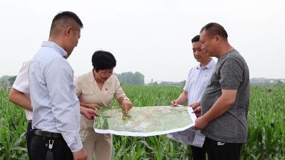 全区项目建设“百日攻坚”专项行动+双沟镇这样干！