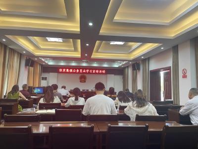 张家集镇开展《中华人民共和国公务员法》集中学习宣传活动