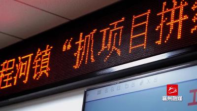 【程河镇】精准施策 按下项目建设加速键