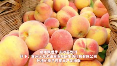 瓜果飘香季+丰收喜悦时