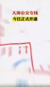 今起，市区这条专线正式开通！