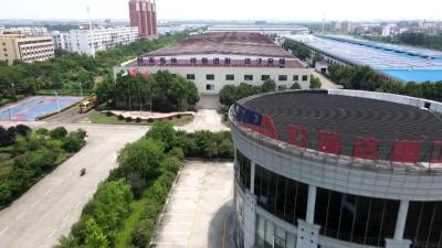 【奋进“实干年”+建强都市圈】+“小巨人”+释放发展“大能量”