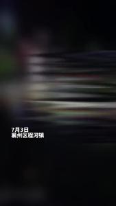 大风暴雨导致槐树被风刮倒 程河民警协同热心群众排除安全隐患