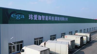 增增增！外贸出口势头强劲