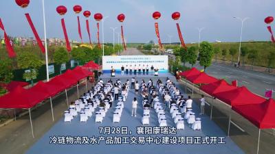 襄阳康瑞达冷链物流及水产品加工交易中心建设项目开工