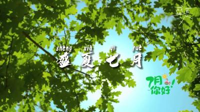 七月你好 盛夏的开场，诉说着季节的热望