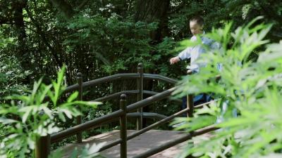 【孟浩然之鹿门山】择一隅竹林 觅一份清凉