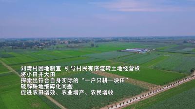 小田并大田 化零为整促增收