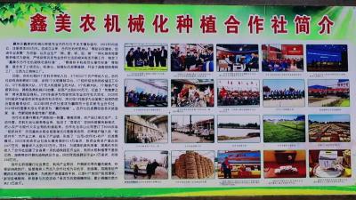 育秧开启“工厂化”+农民增收“有保障”