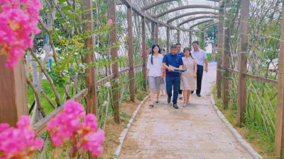 襄州：政协委员建言献策  携手共建和美乡村