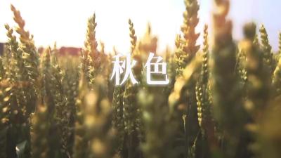 立秋，草木芳语+，静赏秋