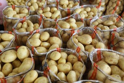 “小土豆”成致富“大产业”