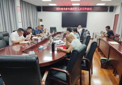 程河鎮召開黨委專題研究人大工作會議