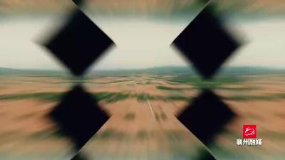 又是一年丰收季
