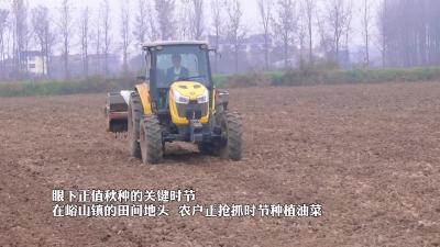 油菜播种尽显“科技范儿”