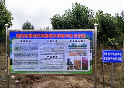 襄州区又一返乡创业项目获评省级示范