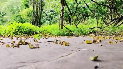 人间忽晚 山河已秋