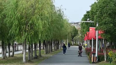 公园秋景正盛 市民欢乐游园
