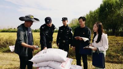 田管家到地头 助力油菜播种