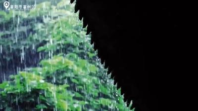 清秋有梦+雨落成诗+浸润在雨水中+陶醉在岁月里