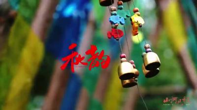 秋韵，秋日最美百日菊