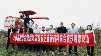 全程机械化助力芝麻增产增收
