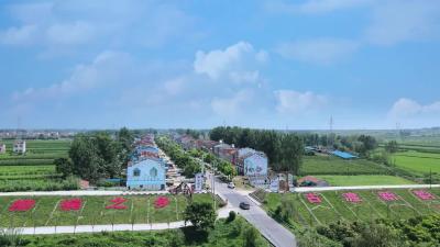 书香政协·共话擦亮襄州名片之五：柳乡织锦绣