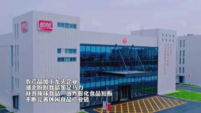 【湖北盼盼食品有限公司】强龙头优品牌 做好农产品精深加工大文章