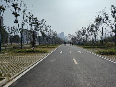 襄州：建设生态停车场缓解停车难题