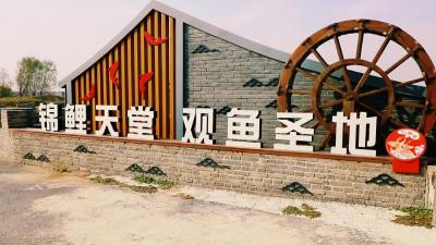 锦鲤养殖 “钱”程似景