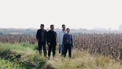 全流程监督+护航“小田并大田”改革