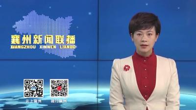 人大代表、政协委员：赏西湾公园  品人文之美