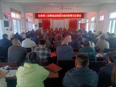 襄州区委第三巡察组向黄龙镇党委反馈巡察情况