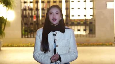 嘎嘎冷的冬天吃一口热呼呼的牛腩 实在是太幸福了