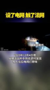 设了电网+触了法网
