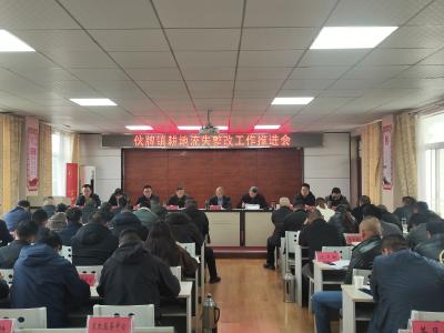 伙牌镇全力抓好耕地流失问题整改工作